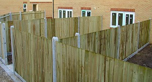 Closeboard Fencing with Concrete Posts