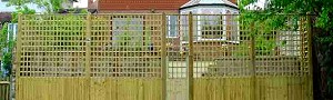 Closeboard Fencing with Big Trellis