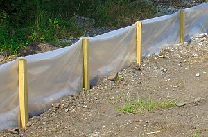 Newt Fencing