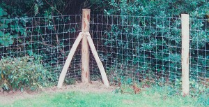 Stock Fencing