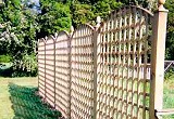 Trellis fencing