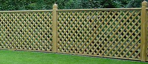 Diamond Trellis Fencing